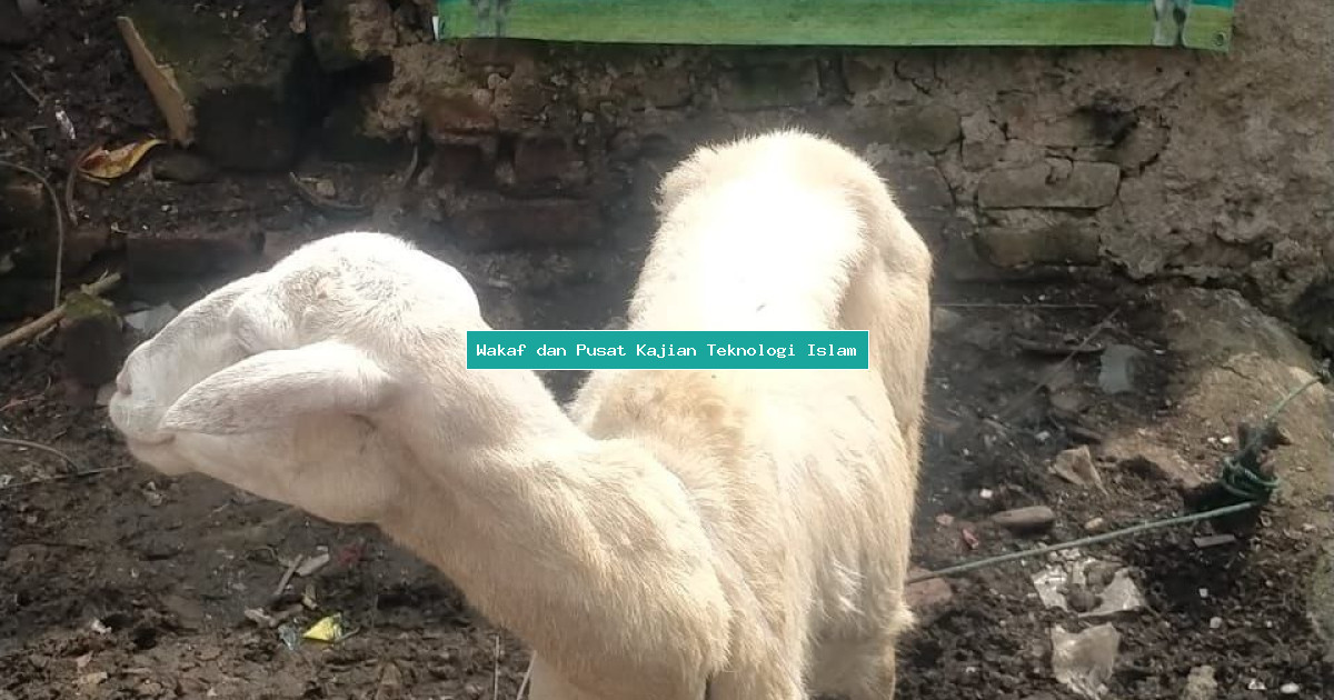 Wakaf dan Pusat Kajian Teknologi Islam
